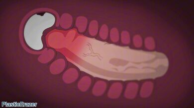 "Marciana's Morning Blowjob - An Oral Delight!"