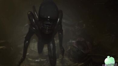 'Bee-ing Cockblocked By Your Sis-tor!'