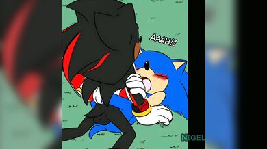 'Breeding Season: Sonic x Shadow | Prime Sonadow'