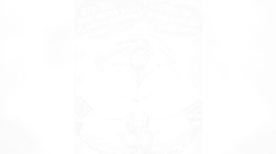 "Sexyboy Melina!? Confused about her identity, you can't resist her tempting body!"