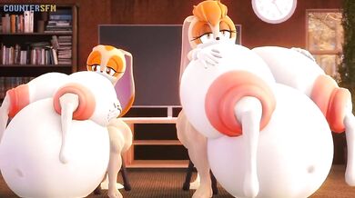 When the rabbit is big, he needs a lot of counters!