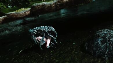 Valkyries Way of Relaxation