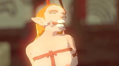 The Legend of Zelda: Breath of the Wild - Mipha x Link WIP Hentai Loops Collection Vol 2 - SableServiette