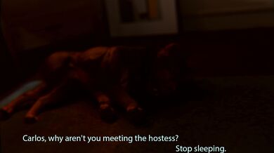 Hey Jill, want to have a threesome with me and your dog?