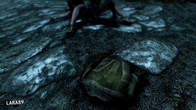 The Elder Scrolls V: Skyrim - Taking Advantage of a Horny Lady in the Dungeons