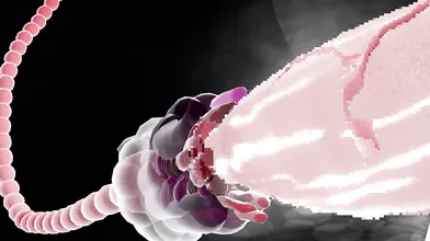 WATCH as Jaxmmd gets tied up with bondage gear and taken by the TENTACLES in this HENTAI PORN VIDEO!