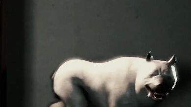 Watch the hentai PORN movie Kawaii Detective Enthusiasts Toy Dog and witness a thrilling adventure of love, passion and lust!