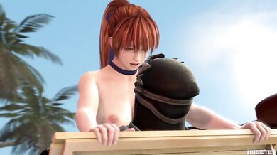 The Sexy Adventure of Kasumi!