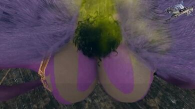 ---------------------------