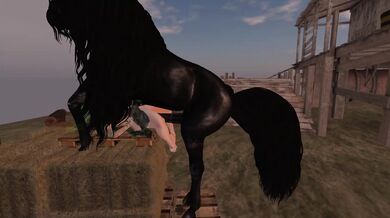 BDSM Mistress in Bondage Misery