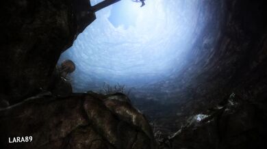 The Dragonborn takes a break from battling dragons to try out their hand at wolf taming in the cold, harsh lands of Skyrim