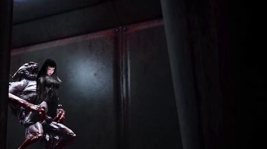 The Stealthy Seductress: The Tales of the Promiscuous Female Ninja