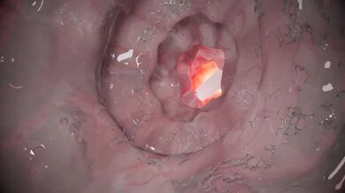 Moca, the busty elf, faces off against a massive minotaur in this action-packed adventure!