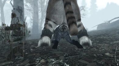 The Kiss of a Thief: A Khajiits Sultry Affair