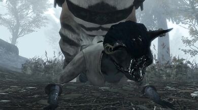 The Kiss of a Thief: A Khajiits Sultry Affair