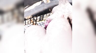 Watch the hot and sexy Nier girls, including Kaine in her milky glory, as they engage in a steamy hentai PORN video