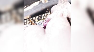 Watch the hot and sexy Nier girls, including Kaine in her milky glory, as they engage in a steamy hentai PORN video