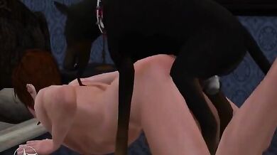 ----------------------------------------------