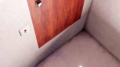 Adventures of Ada Wong in the Shower Room