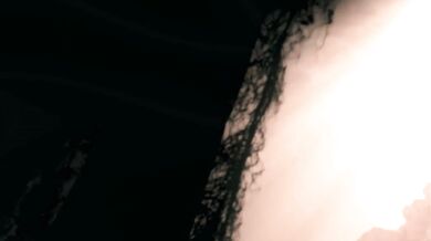 Watch out for the Swamp Beast!