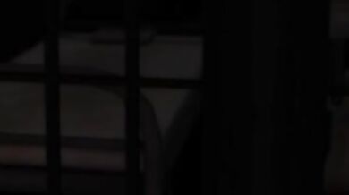 You wanna do some insect porn with me?