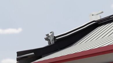 Xiulan faces off against Tengfei (Tentacle) in a thrilling battle of pleasure and pain