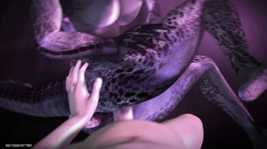 Nurjas relaxation night