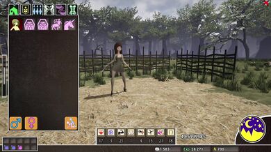 ---------------------- Please insert the correct answer below: