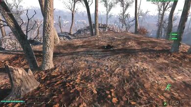 Sexual Tension In The Desert: Nuka Ride Mod Tentacus Edition Part 5