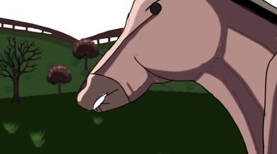 I have an urgent need to use your horse on Wednesday!