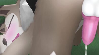 The Unholy Alliance of Lycanroc and Zoroark: Enokimarus Midday Delights