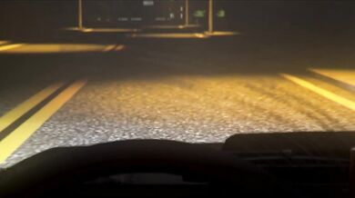 A Cat in Heat: The Dominant One