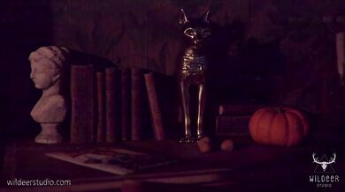 Sexy Costumes - Busty Witches and Demons