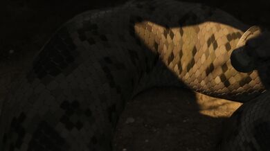 'Lucia the Vampire: Part 1 of 3, No Audio'