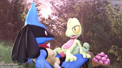 "Exploring with a cute girl like Treecko is half the fun! [Gsec]"