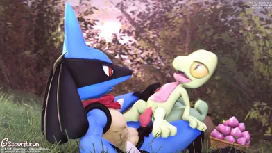 "Exploring with a cute girl like Treecko is half the fun! [Gsec]"