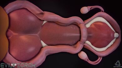 "The Backwoods Lumberjack and His Huge Black Stallion"