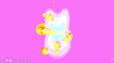 "The Backwoods Lumberjack and His Huge Black Stallion"