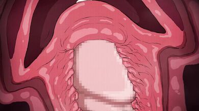 'The Goblin and the Old Man Suppai'