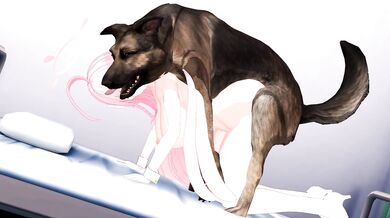 Hanako and Doggy Style!