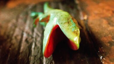 "Jill's Impregnation - HMV"