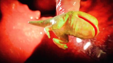 "Jill's Impregnation - HMV"