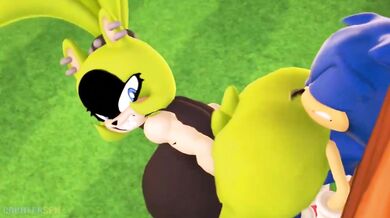 "Sonic, HMV and Your too slow - A Fast-Paced Hentai Adventure"