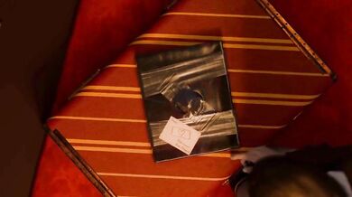 'Harry Potter and the Forbidden Fruit'