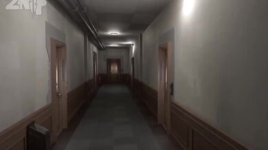 'A mysterious Gardevoir arrives...'