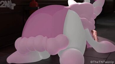 'A mysterious Gardevoir arrives...'