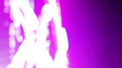 "Breaking into a Museum to steal, the seductive cat girl is caught in the act and for*ced to pay for her sins!"