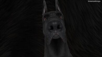 'The naughty slut gets fucked by multiple canines in front of a throng of voyeurs'