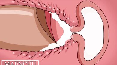 'Unbridled Desire: The Secret Lives of Tentacle Monsters and Their Human Conquests, Volume II - Maenchu Harem Sex Daily'