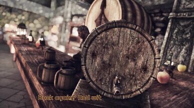 'The Tavern - Preview (Skyrim4Ever)'
